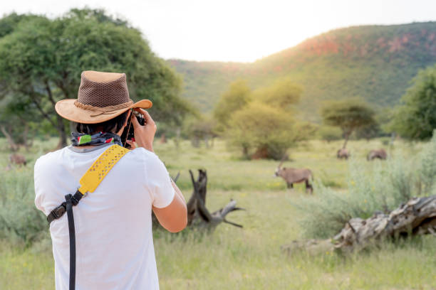Young man traveler and photographer taking photo of Oryx, a type of wildlife animal in African safari Young man traveler and photographer taking photo of Oryx, a type of wildlife animal in African safari. Wildlife photography concept antelope photos stock pictures, royalty-free photos & images