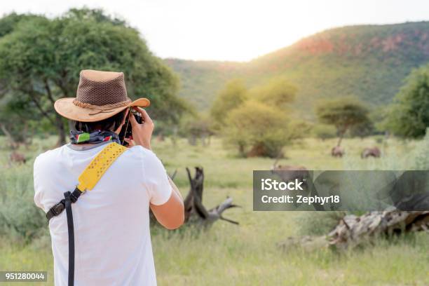 Young Man Traveler And Photographer Taking Photo Of Oryx A Type Of Wildlife Animal In African Safari Stock Photo - Download Image Now