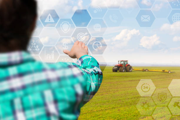 Farmer manages planting on the virtual screen.