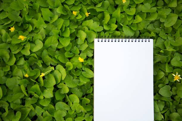 istock The notebook lies in the greenery. Closeup. Top view. 951291218