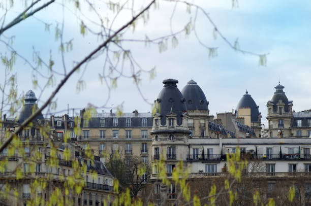 istock Roofs of Paris 951294678