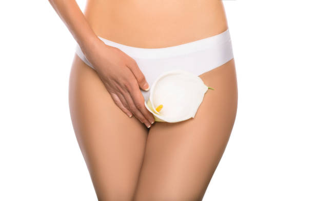 female reproductive health, gynecology isolated on white woman dressed in white panties, holding a white flower in her hands, close-up. female health, reproductive, gynecology isolated on white women private part stock pictures, royalty-free photos & images