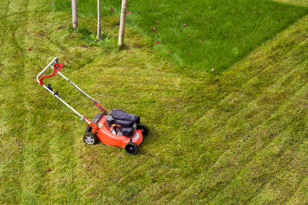 istock Lawn mower cutting grass on green field in yard. Mowing gardener care work tool 951299698