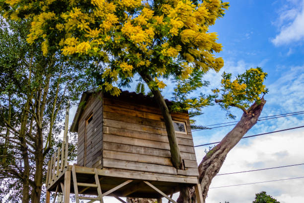 istock Tree house for kids in the garden. 951316766