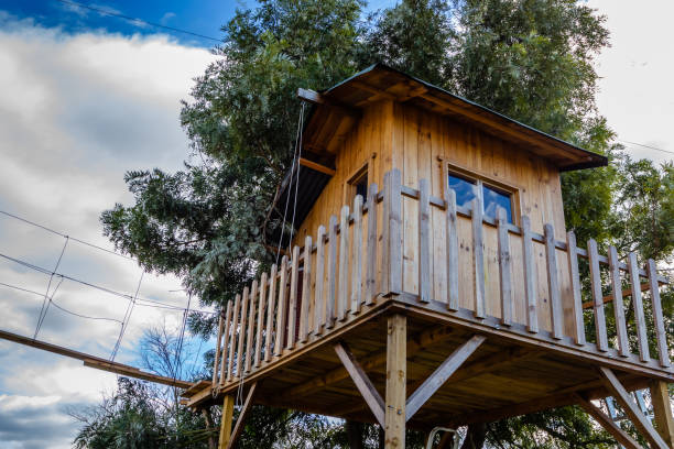 istock Tree house for kids in the garden. 951316772