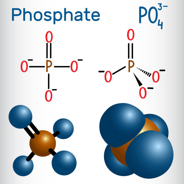 Phosphorous Plus O2 Phosphorus And Oxygen Compound