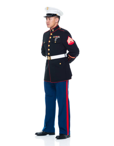 marine usa in uniforme con le braccia dietro - marines uniform medal armed forces foto e immagini stock