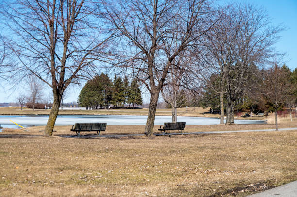 istock Andrew Haydon Park in Spring 951322416