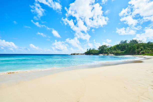 istock tropical Beach Police Bay (white sand and turquoise sea) , south 951325576