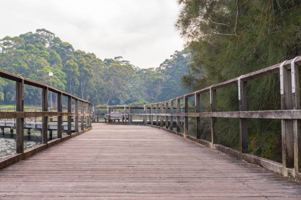 istock Boardwalk at Narooma, NSW Australia on hazy autumn day 951328980