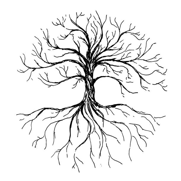 baum des lebens - vektor-illustration mit baum und wurzeln silhouette. handgezeichnete tinte abbildung - naked tree stock-grafiken, -clipart, -cartoons und -symbole