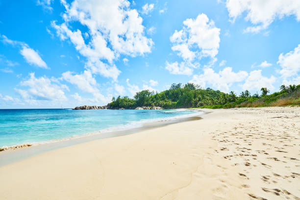 istock tropical Beach Police Bay (white sand and turquoise sea) , south 951331376