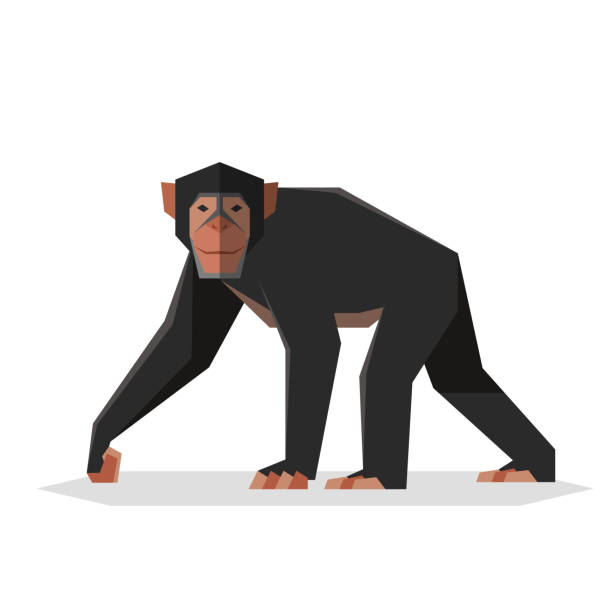 Flat geometric Chimpanzee Vector image of the Flat geometric Chimpanzee howler monkey stock illustrations