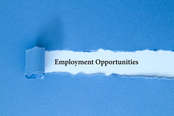 istock Employment Opportunities 951334630