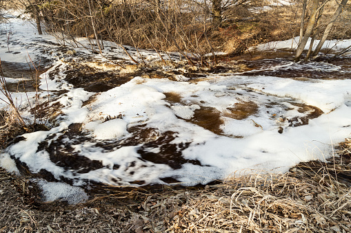 Springtime snow melt creates flowing water in a small stream.