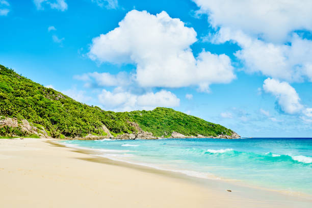 istock beautiful paradise beach anse bazarca. white sand,turquoise wate 951340768