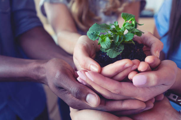 istock Growth concept. Group holding a seedling plant. 951344438