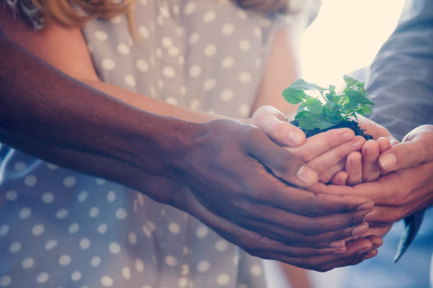 istock Growth concept. Group holding a seedling plant. 951344450