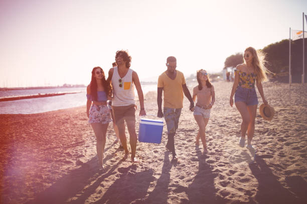 istock Young multi-ethnic friends walking on the beach carrying cooler box 951356206
