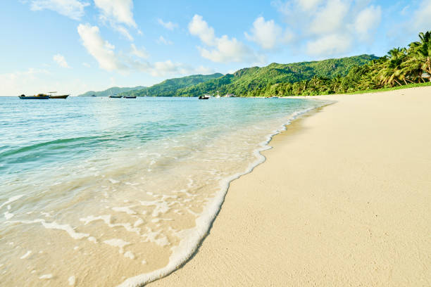 istock tropical beach Anse Royale at island Mahe, Seychelles - vacation 951358998