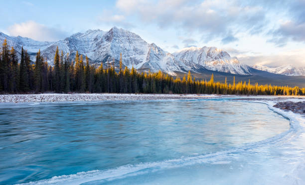 fiume athabasca in inverno al jasper national park, canada - parco nazionale di jasper foto e immagini stock