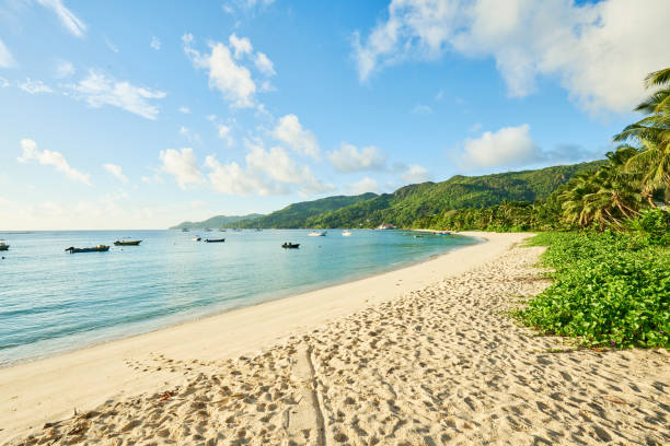 istock tropical beach Anse Royale at island Mahe, Seychelles - vacation 951360720