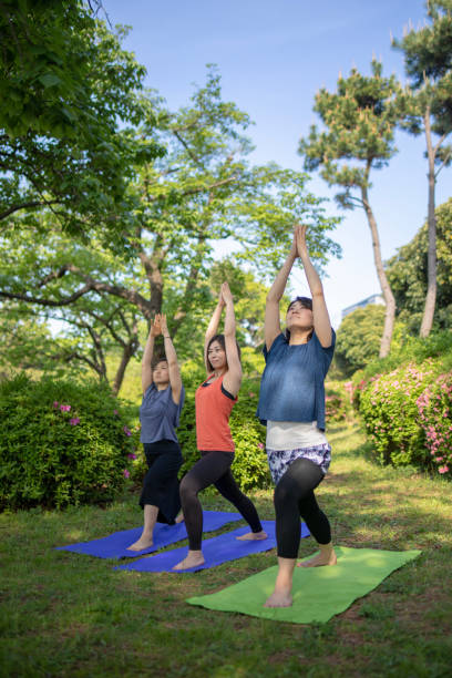 istock Three women practicing yoga in green field 951366896