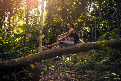 Woman Backpacker hiking in rainforest