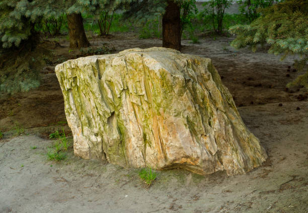istock Large standing stone in the open air 951367588