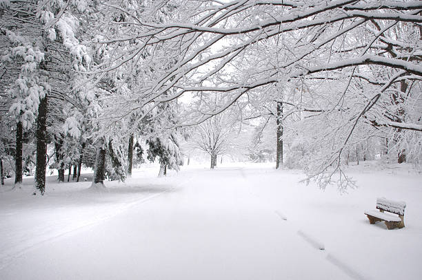 冬の公園のベンチ - snow winter bench park ストックフォトと画像