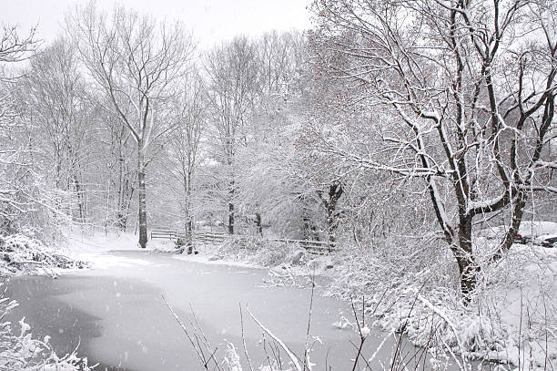 A snow covered bridge over a pond in a park in Somerset, UK.