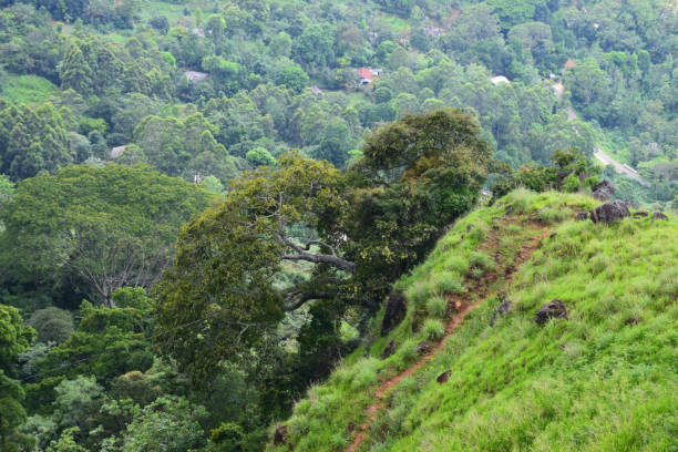 istock View of valley from mountain 951377448