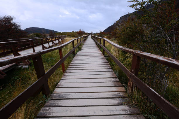 istock Wooden walkway in park. 951378794