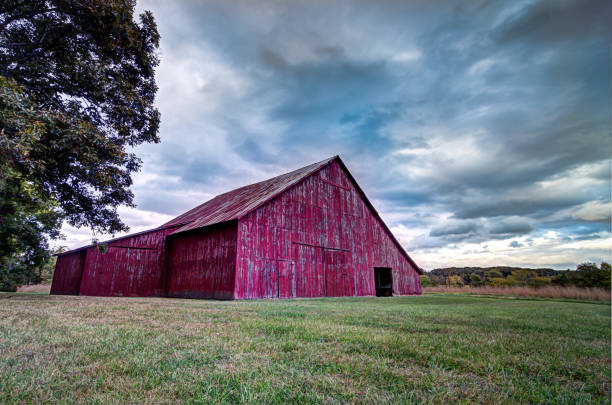 Old wooden barn with vines and leaves on an Autumn day in rural countryside in Pomfret area near Stowe, central VT, USA