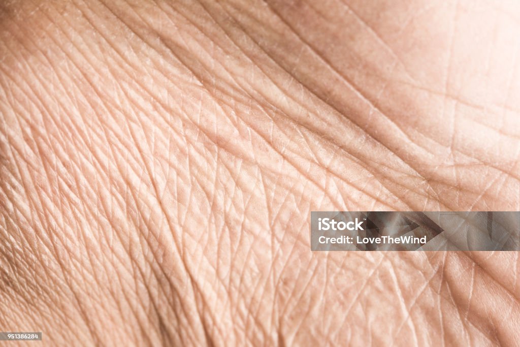 Bouchent la texture de la peau avec des rides sur le corps humain - Photo de Peau libre de droits
