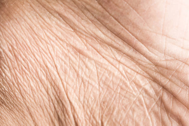 texture della pelle ravvicinata con rughe sul corpo umano - wrinkled foto e immagini stock