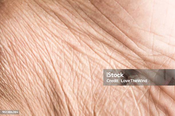 Close Up Skin Texture With Wrinkles On Body Human Stock Photo - Download Image Now - Skin, Peel - Plant Part, Wrinkled