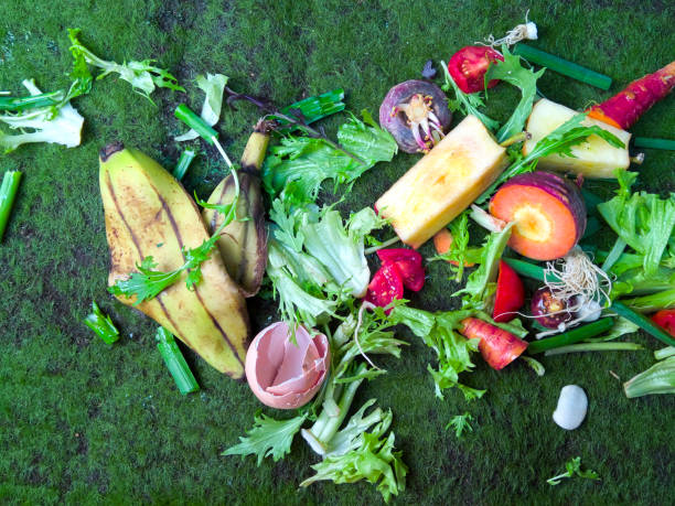 istock Food waste on green mossy background 951389300