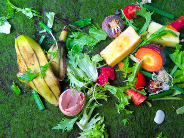 istock Food waste on green mossy background 951389330