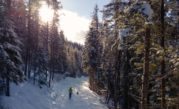 istock Cross country skiing aerial view 951391986