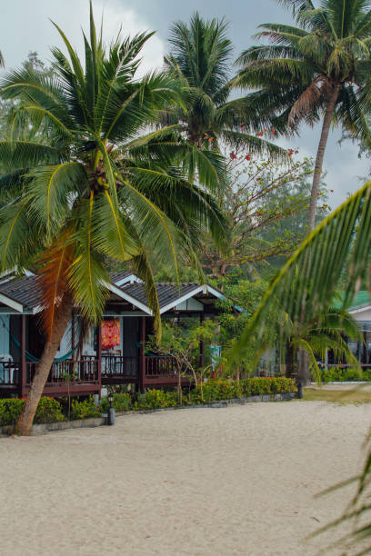istock Bungalows in hotel on a tropical beach 951396114