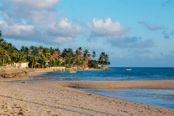 istock Tropical island with sandy beach 951396566
