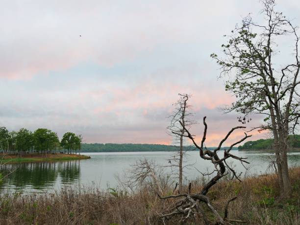 Twilight at the lake