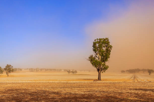 New South Wales – Dust Storm near Temora stock photo