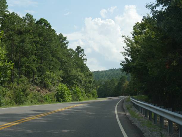 istock Curved paved road bordered by tall pine trees in a state park 951408758