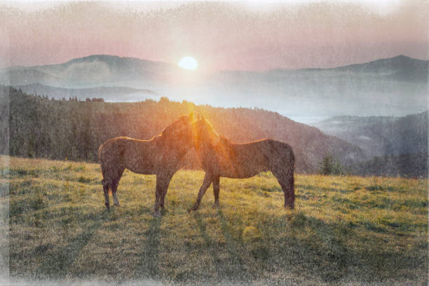 istock Old film photos with horses 951410454