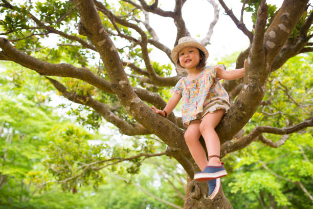 istock Little girl climbing a tree 951412790