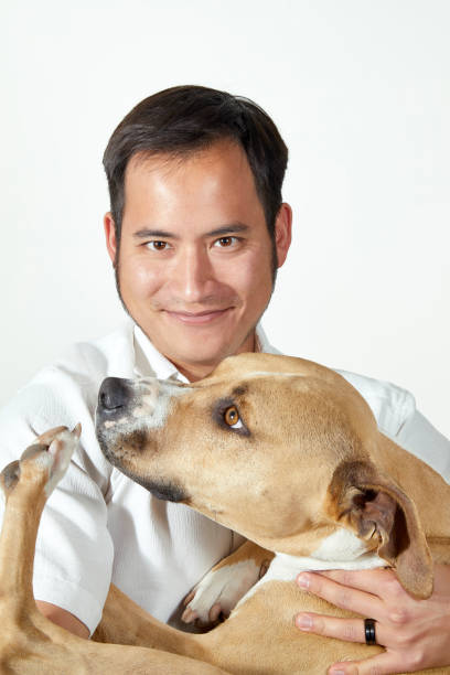 istock Happy Man holding a Dog 951413462