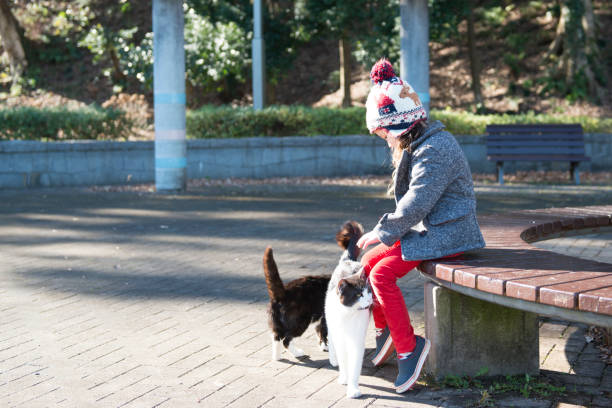 istock Little girl playing with a cat 951413660