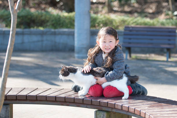 istock Little girl playing with a cat 951413670